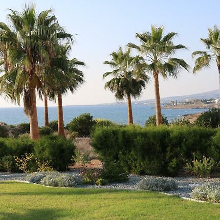 Yulya Villa By Taimoura Pafos Dış mekan fotoğraf