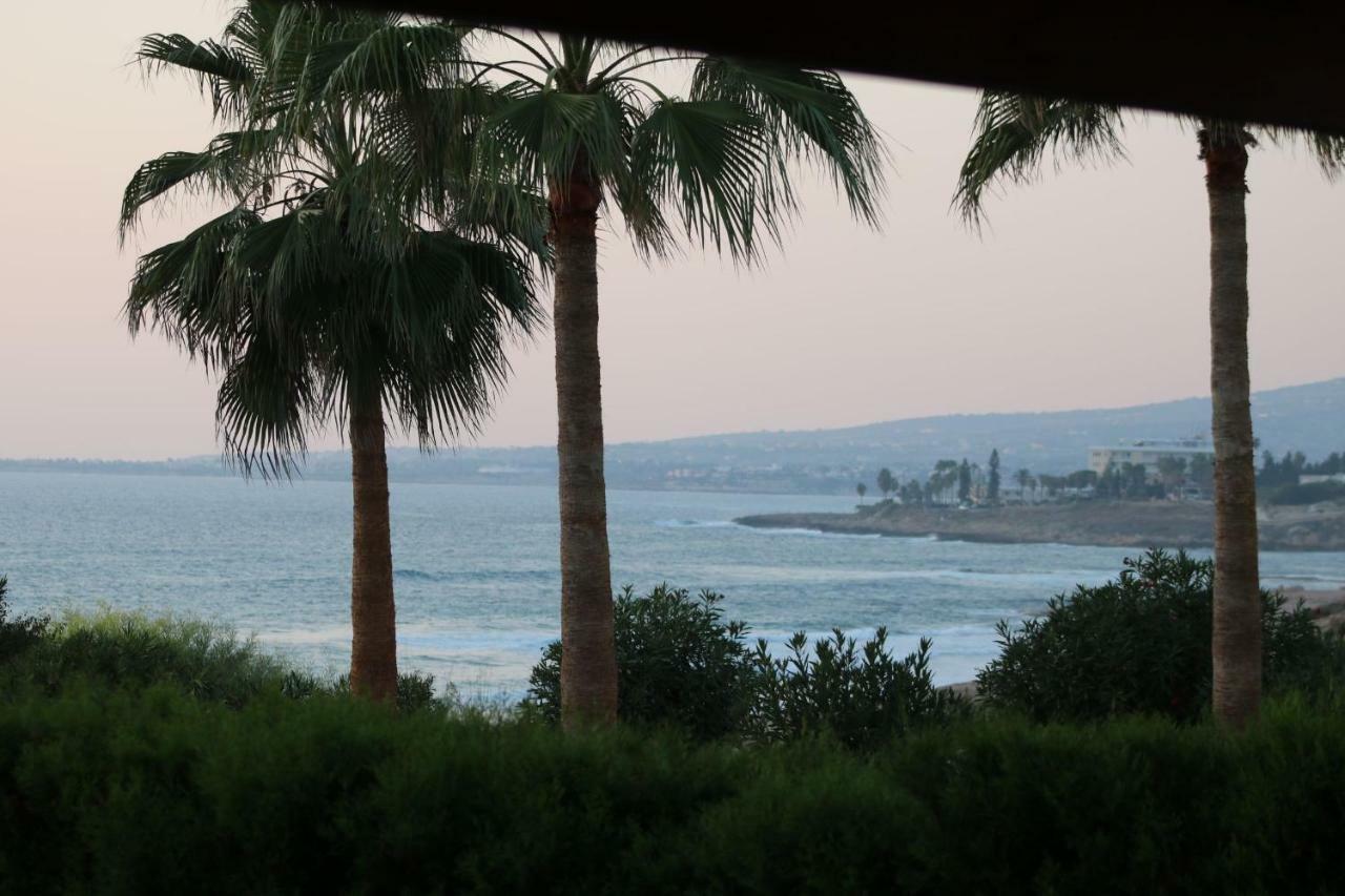 Yulya Villa By Taimoura Pafos Dış mekan fotoğraf