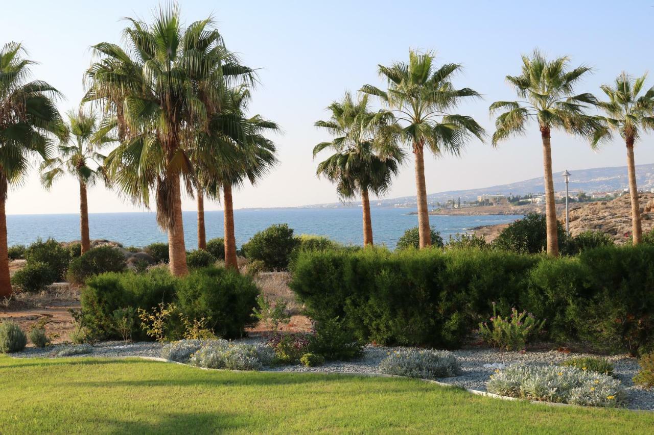 Yulya Villa By Taimoura Pafos Dış mekan fotoğraf