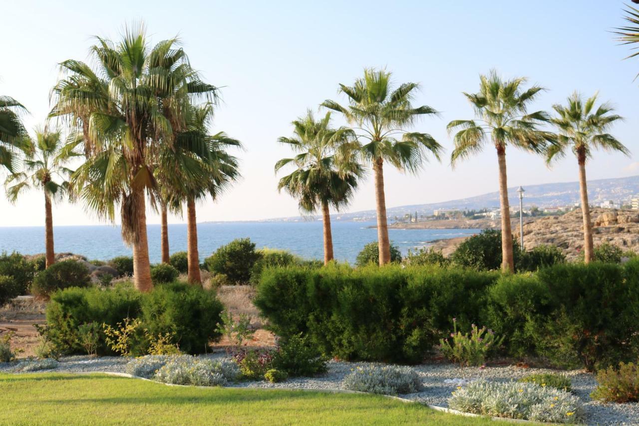 Yulya Villa By Taimoura Pafos Dış mekan fotoğraf