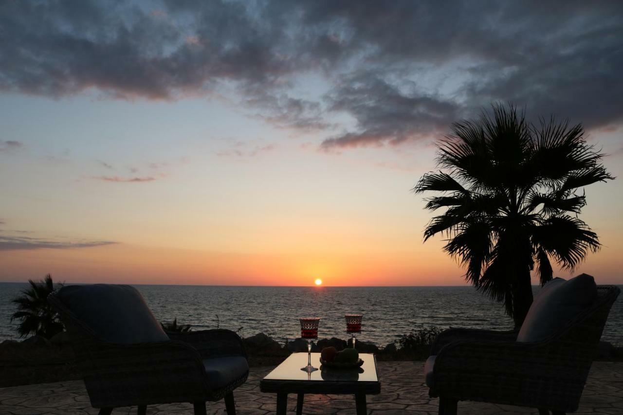 Yulya Villa By Taimoura Pafos Dış mekan fotoğraf